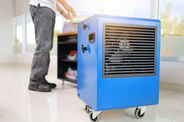 Best Mold Removal for HVAC Installations  in Goldstream, AK